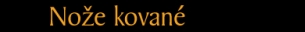 noe kovan